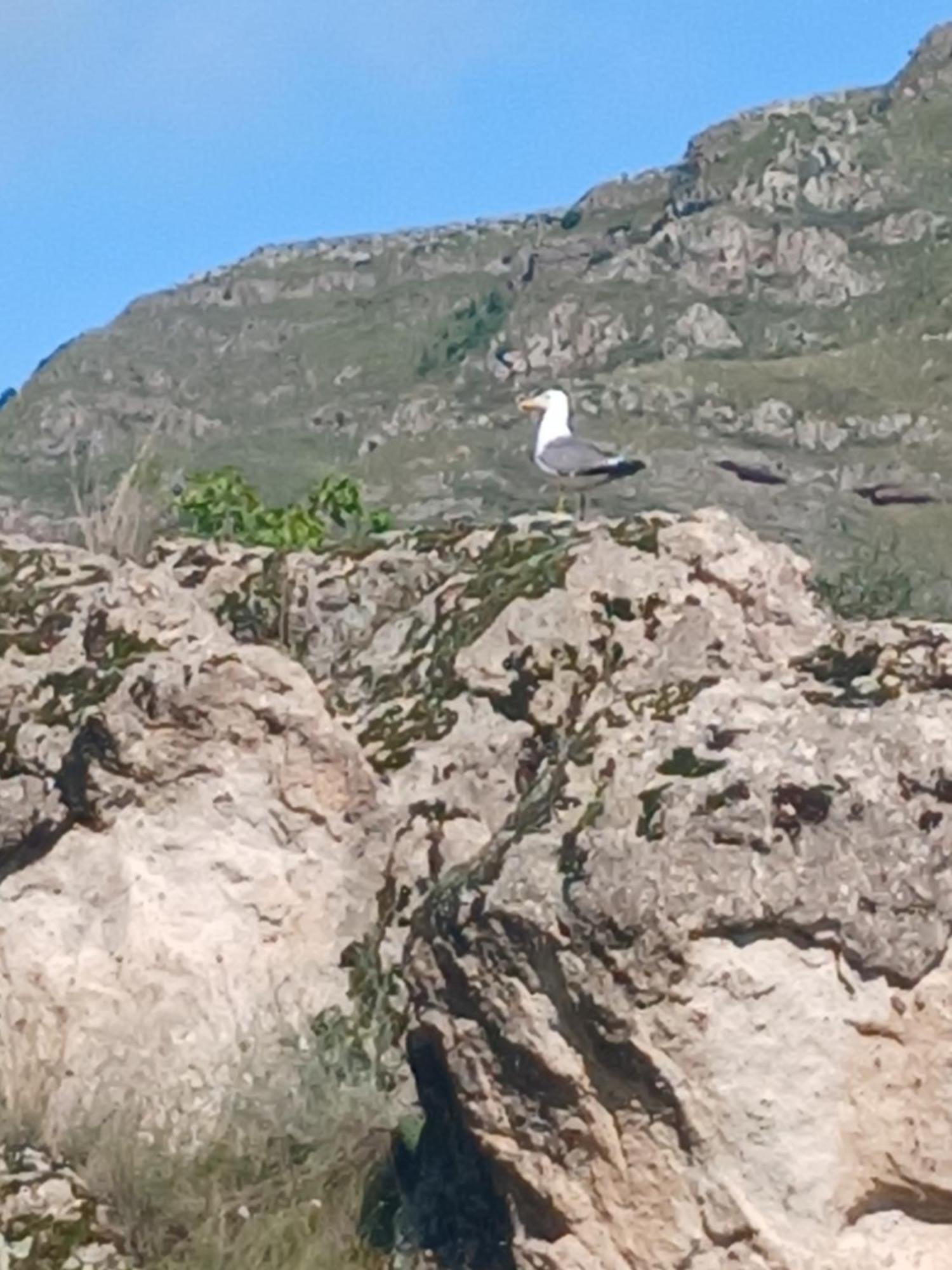 Vardzia Сhachkari Zewnętrze zdjęcie